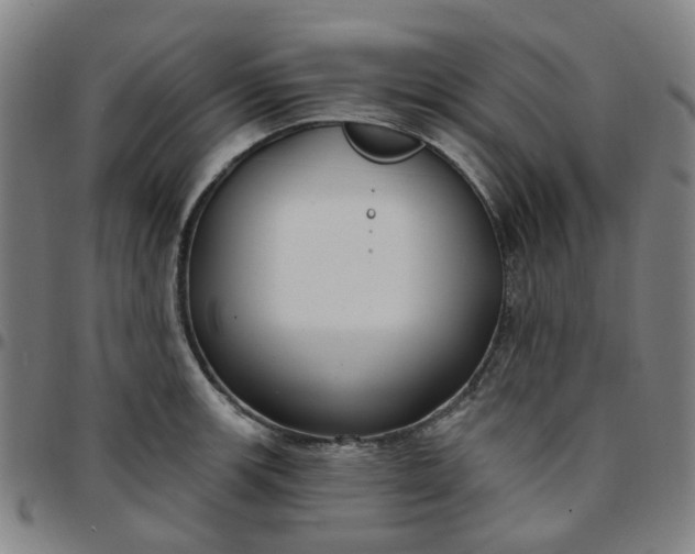 X0000097511139200803071818