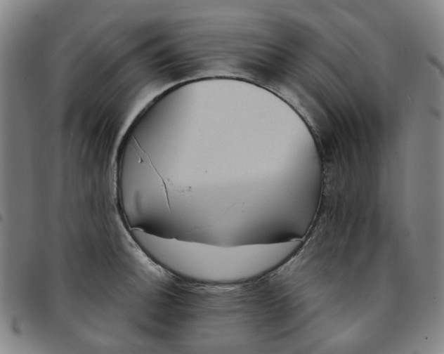 X0000097511140200803071818