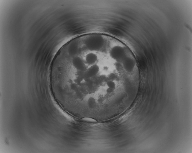 X0000097511142200803071818