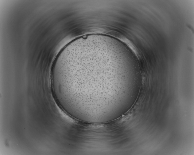 X0000097511143200803071818