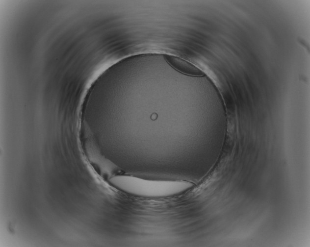 X0000097511144200803071818