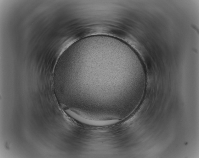 X0000097511145200803071819