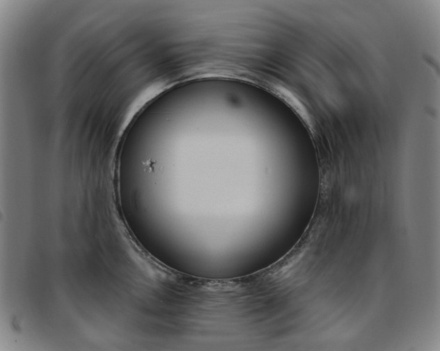 X0000097511146200803071819