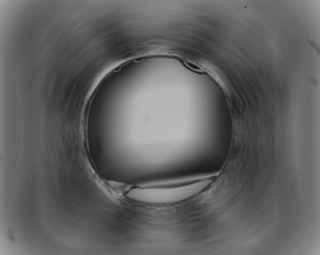 X0000097511148200803071819