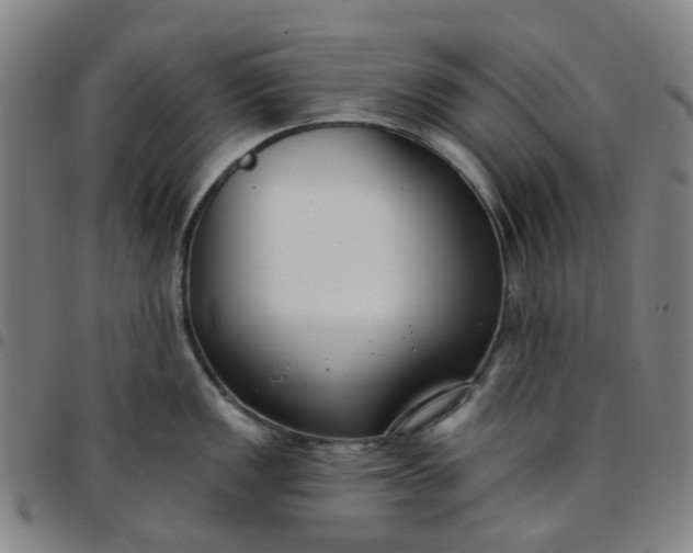 X0000097511149200803071819