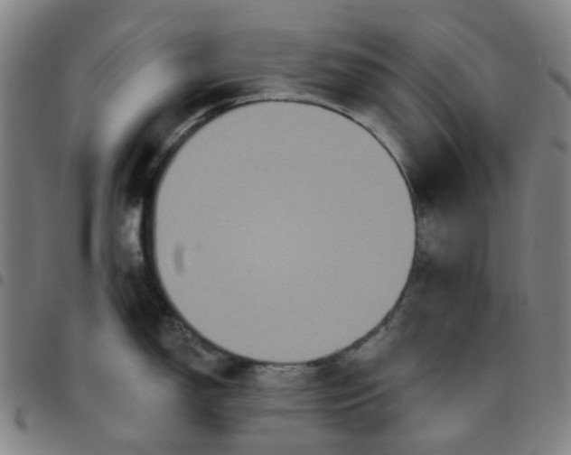 X0000097511150200803071819