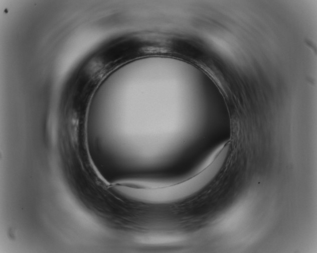 X0000097511151200803071819