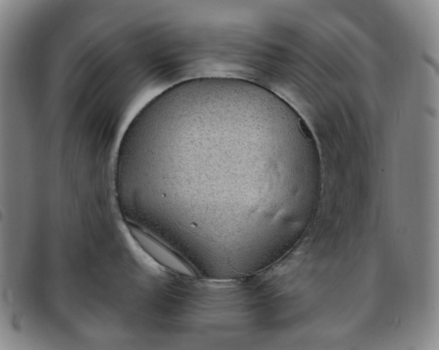 X0000097511152200803071819