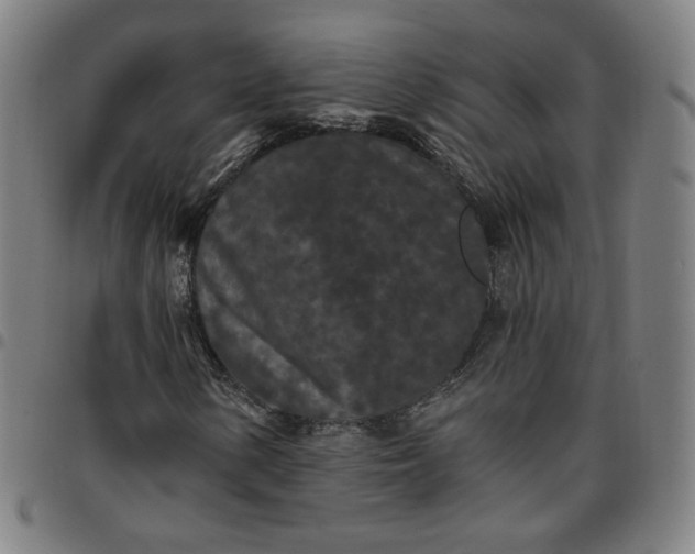 X0000097511154200803071818