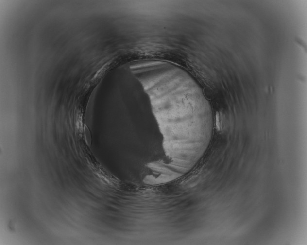 X0000097511155200803071818