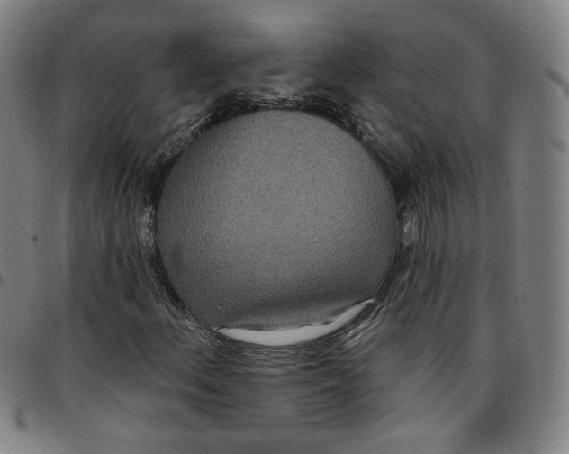 X0000097511156200803071818