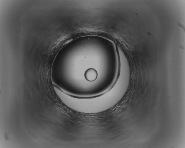 X0000097511157200803071818