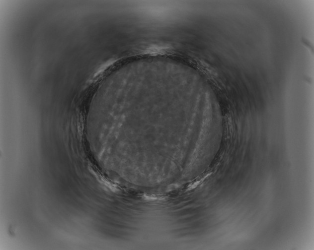 X0000097511158200803071818