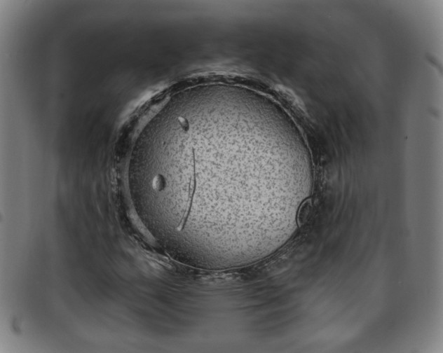 X0000097511159200803071818