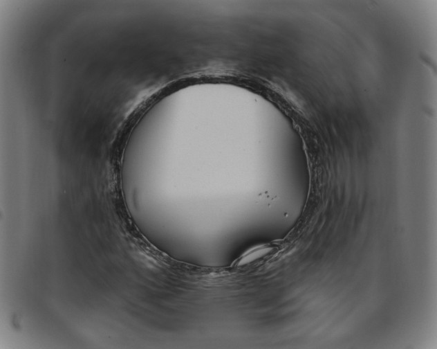 X0000097511160200803071818