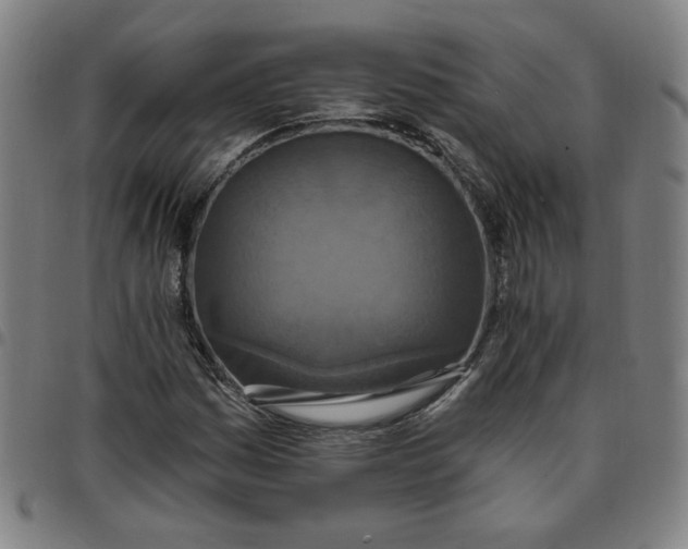 X0000097511161200803071818