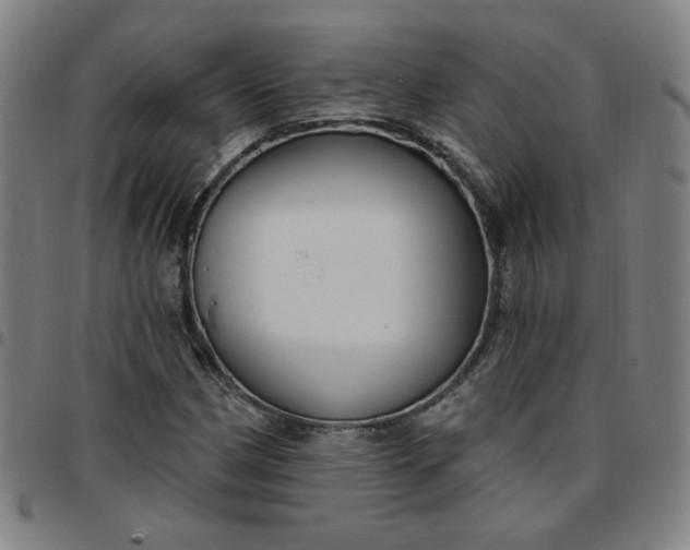 X0000097511162200803071818