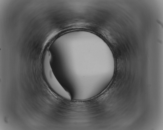 X0000097511164200803071818