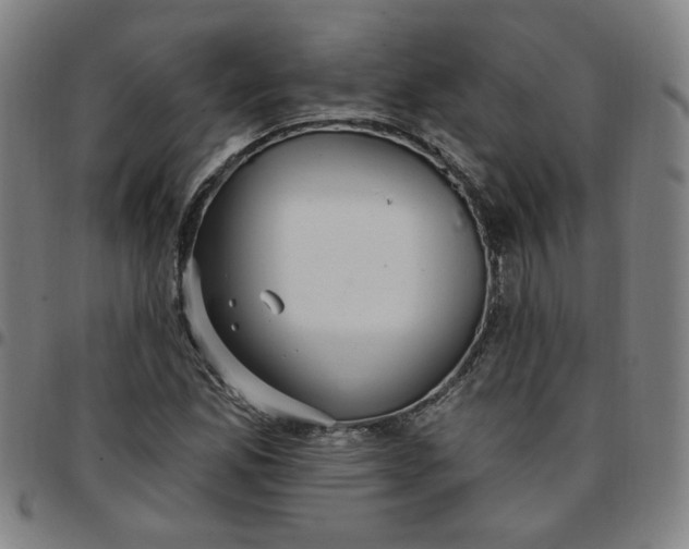 X0000097511165200803071818