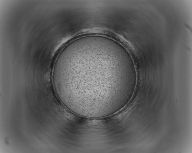 X0000097511166200803071818