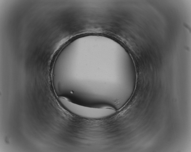 X0000097511168200803071818