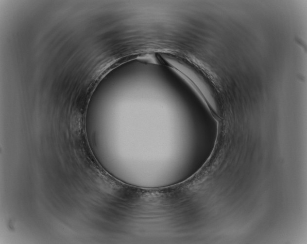 X0000097511169200803071818