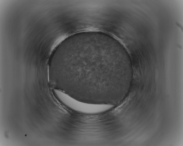 X0000097511171200803071818