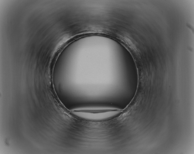 X0000097511172200803071818