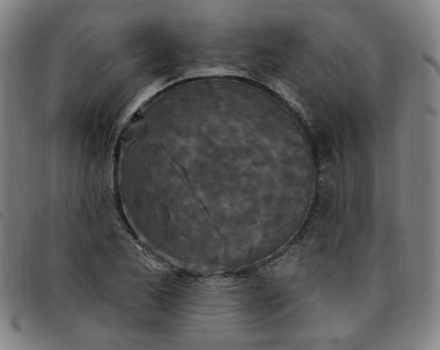 X0000097511173200803071818