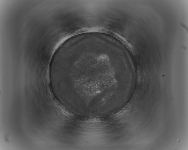 X0000097511174200803071818