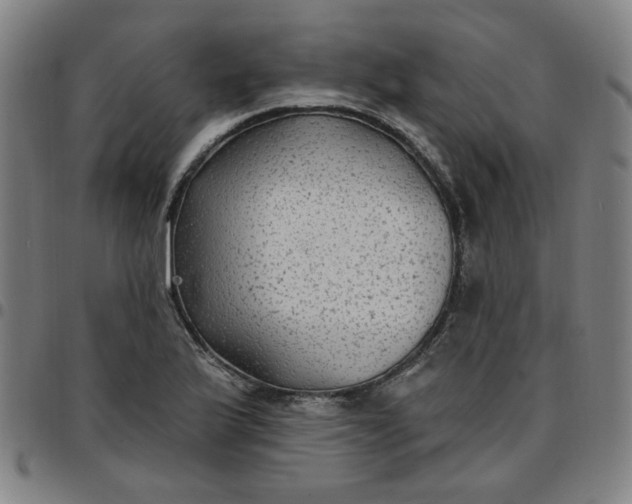 X0000097511175200803071818