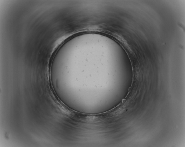 X0000097511176200803071818