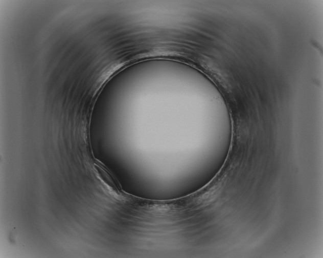 X0000097511177200803071818