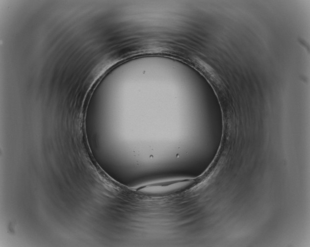 X0000097511178200803071818