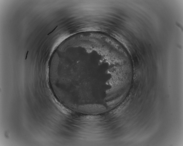 X0000097511179200803071818