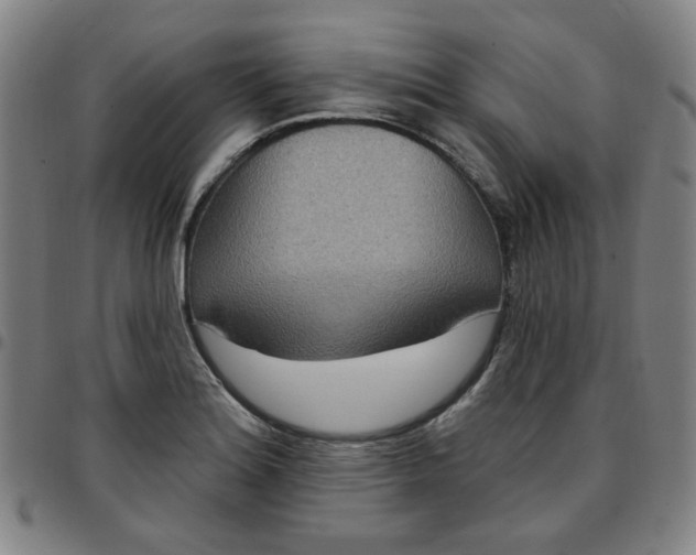 X0000097511180200803071818