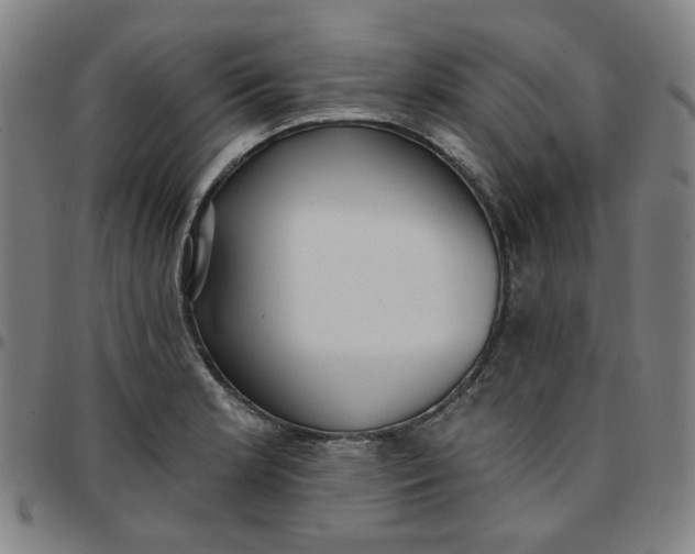 X0000097511181200803071818