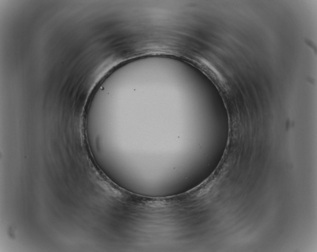 X0000097511182200803071818