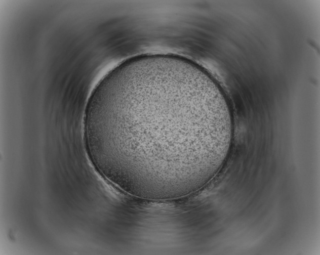 X0000097511183200803071817