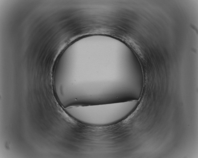 X0000097511184200803071817