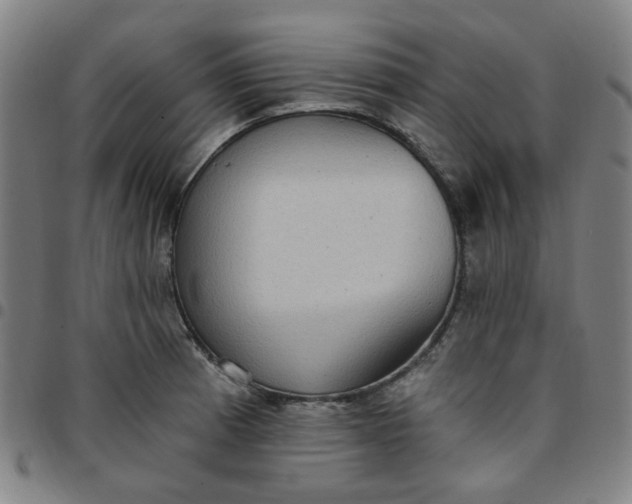 X0000097511185200803071817