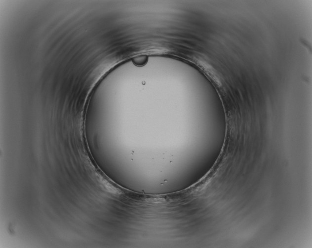 X0000097511186200803071817