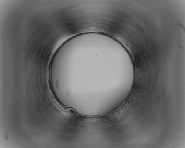 X0000097511187200803071817