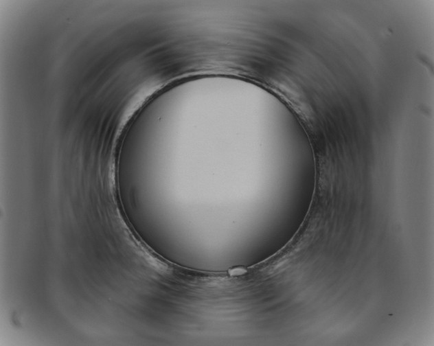 X0000097511188200803071817