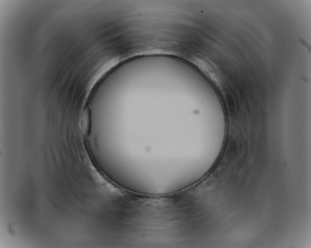 X0000097511189200803071817