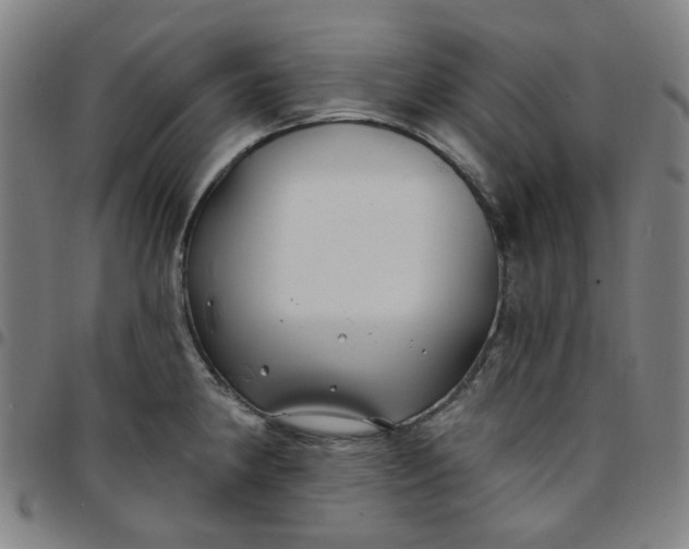 X0000097511190200803071817