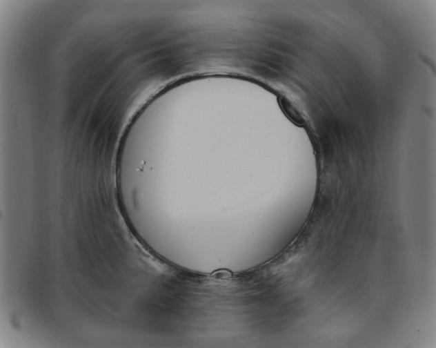 X0000097511191200803071817