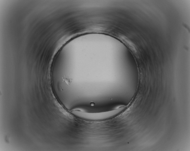 X0000097511192200803071817