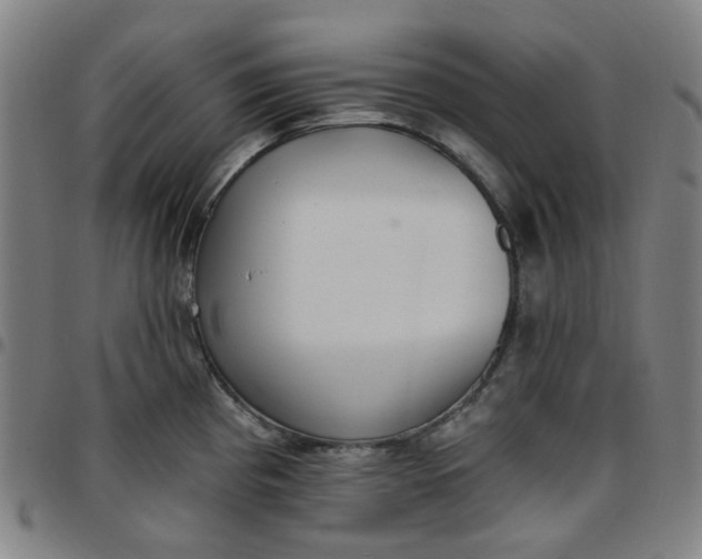 X0000097511193200803071817