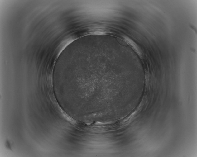 X0000097511194200803071817